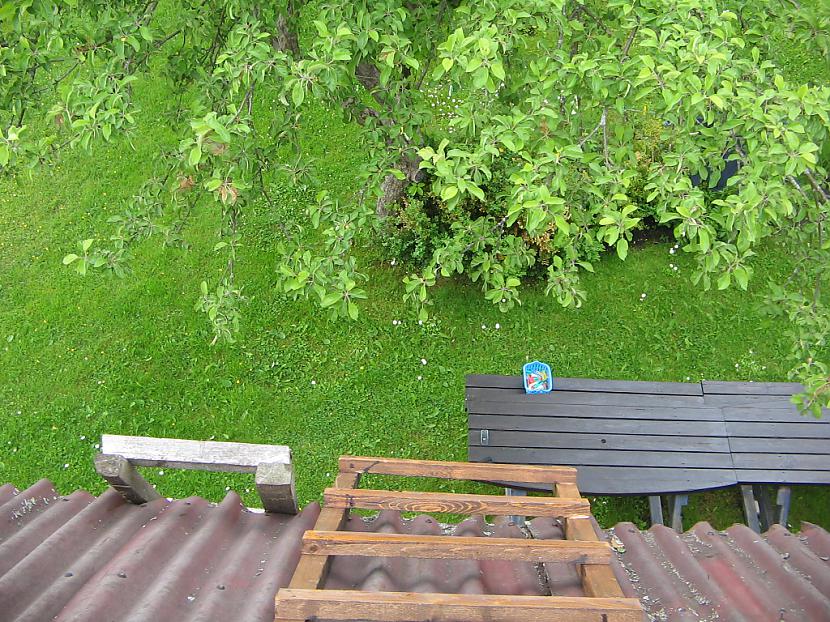 Autors: varenskrauklis Dārzā atradu to, ko pat nebūtu iedomājies, ka var atrast