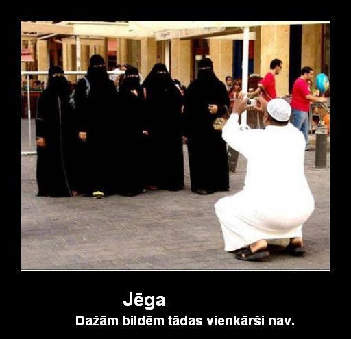 Autors: kreksss Pavisam Melni