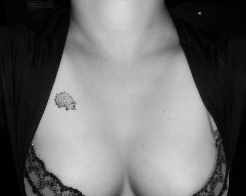 Delverēns Mans pirmais... Autors: kaķūns Spoki.lv lietotāju tattoo 2