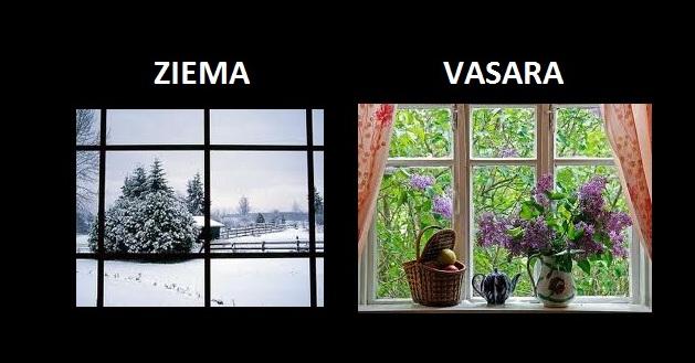 Autors: The Diāna Ziema vs vasara