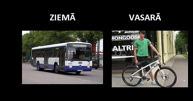 Autors: The Diāna Ziema vs vasara