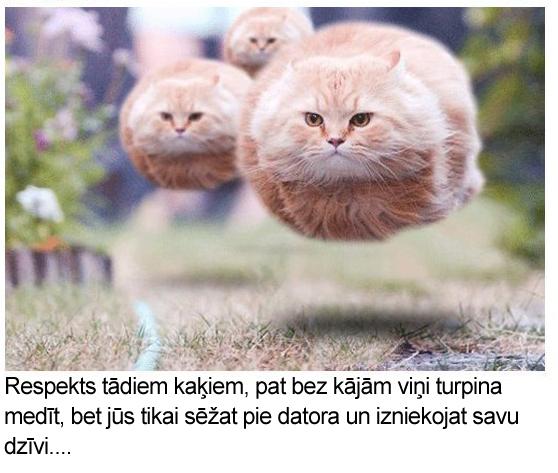 Autors: Tim3D Respekts tādiem puišiem...