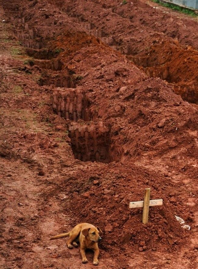 Suns Leao jau 2 dienas guļ... Autors: Tas i es Šokējošas fotogrāfijas no visas pasaules!