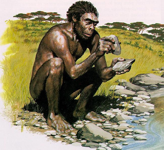 Homo habilis Autors: Vampirology Cilvēces šūpulis - Olduvaja