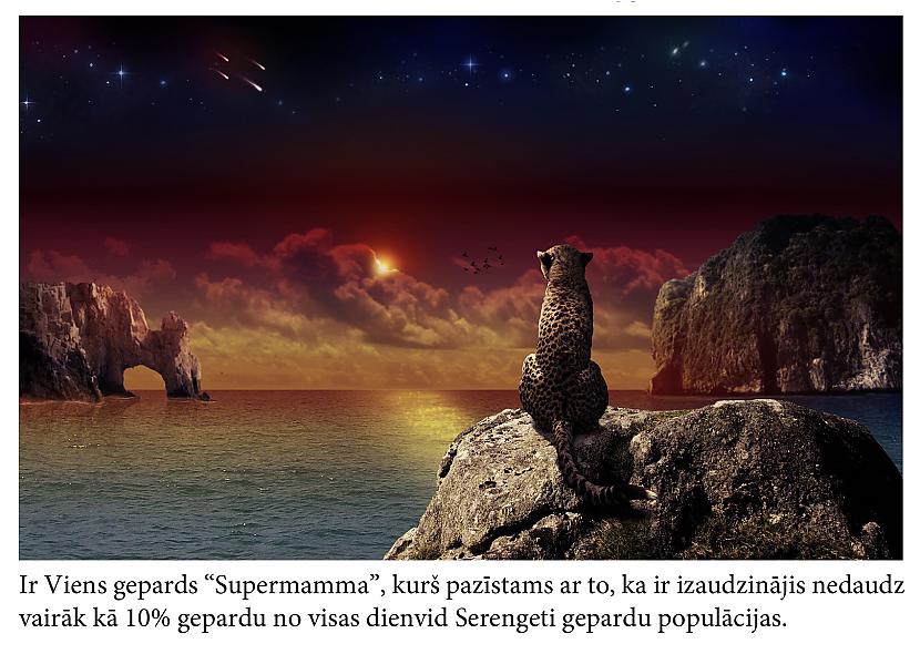 Autors: Mūsdienu domātājs Fakti, kas iedzīs tevi šokā...