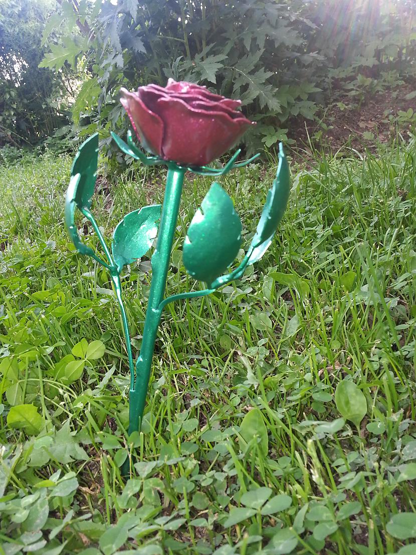 un lūk jau izplaukusinbspfyea Autors: kpot Roze no metāla. Never ending rose. Metal rose hand made