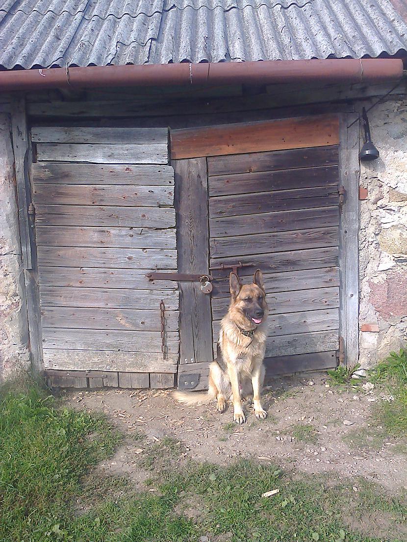 Saimniecības ēkagarāžaklēts... Autors: jankovskis2 Kas lācītim vēderā jeb garāža.