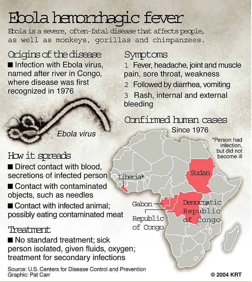 Ar Ebolas drudzi saslima arī... Autors: Raziels Baisais Ebolas bubulis
