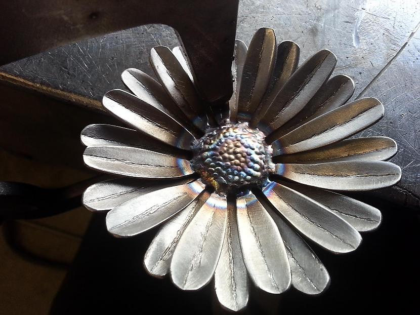 Autors: kpot DIY. Flower, Daisy From metal