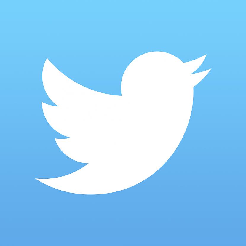 Tagadējā Twittera simbolu... Autors: PienaPuika44 Interesanti fakti, kurus Tu visticamāk nezināji par Twitteri.