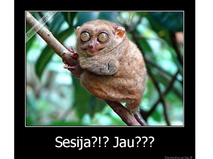 Kā jau vienmēr rēķināmies ar... Autors: Vampire Lord Kā sveikā tikt cauri sesijai? (LLU)