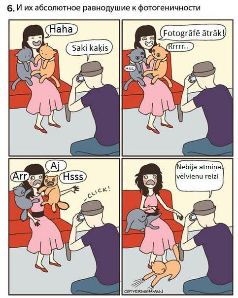 Autors: Sulīgais Mandarīns Kaķu komiksi