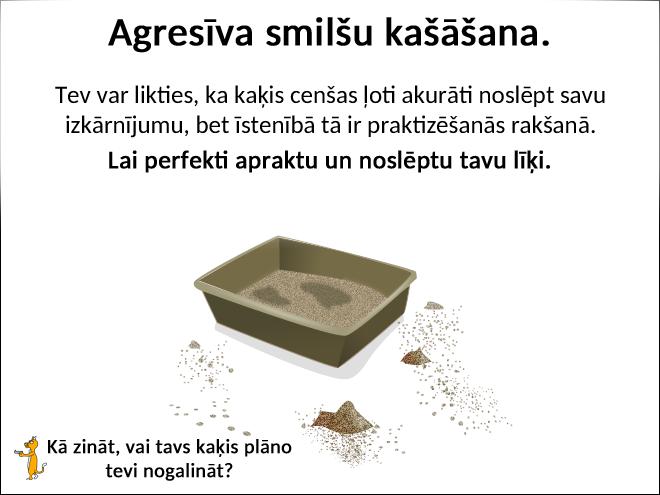 Autors: matilde Kā zināt to, vai tavs kaķis plāno tevi nogalināt?