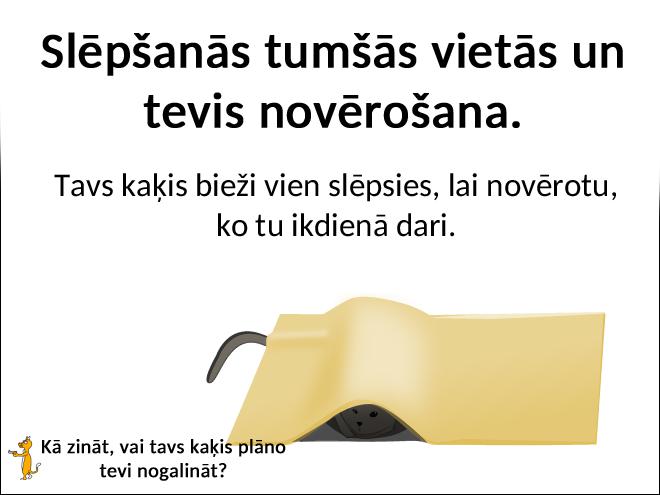 Autors: matilde Kā zināt to, vai tavs kaķis plāno tevi nogalināt?