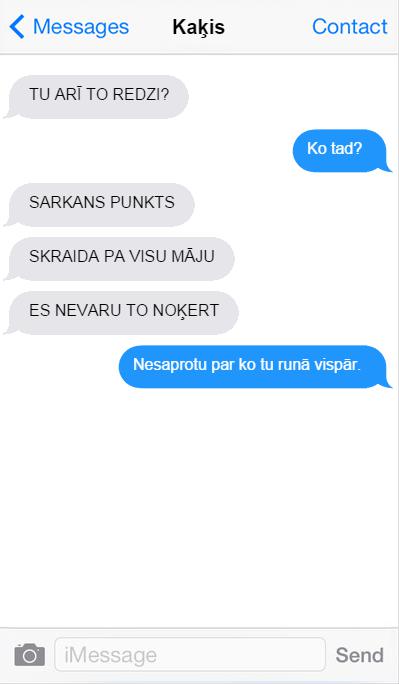Autors: matilde Ja kaķis rakstītu SMS, ko viņš Tev sūtītu?