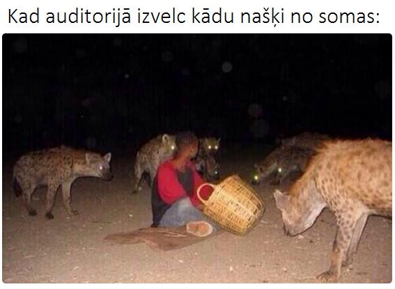 Autors: matilde Katra normāla studenta dzīve 17 attēlos. Atpazīsti sevi?