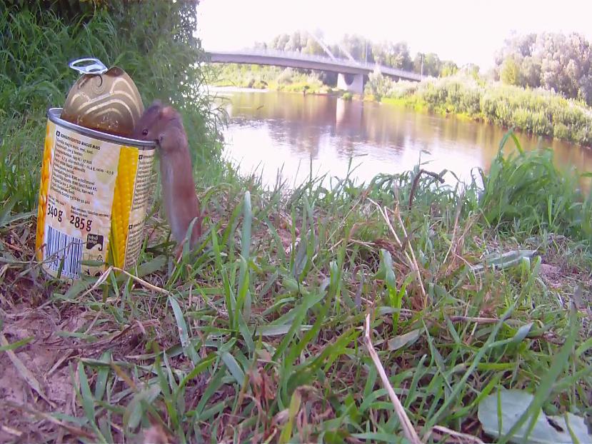 Autors: willowlv Neiespējamā misija