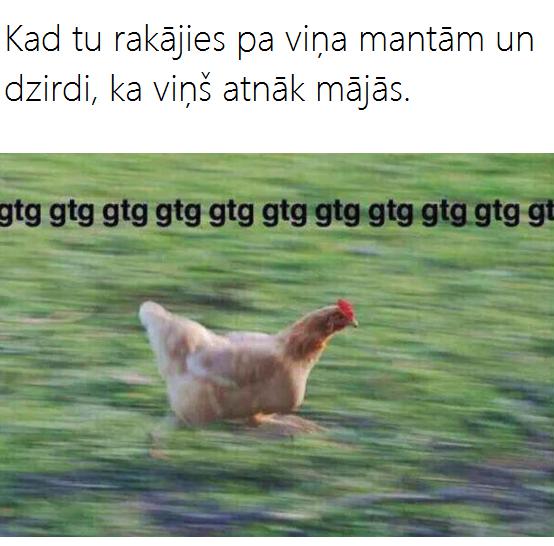 Autors: matilde 18 attēli, kurus sapratīs tikai tie, kuriem ir BRĀLIS