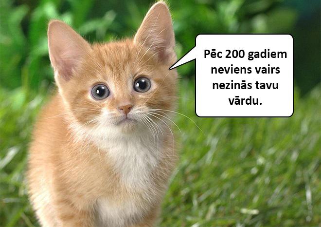 Autors: matilde Dzīvnieku mazuļi atklās tev skarbo dzīves patiesību