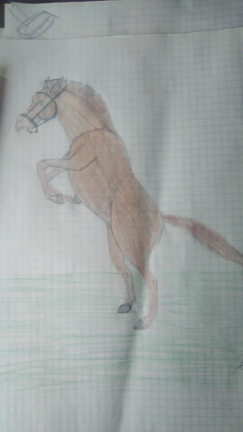 Autors: Baibiņa2002 Zīmējumi 12. daļa