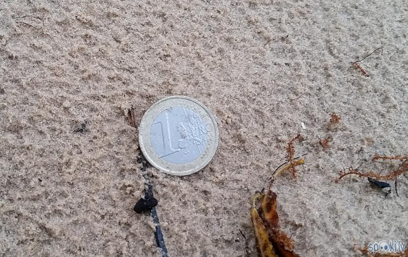 Autors: pyrathe Dažas pastaigas pa pludmali ar metāla detektoru (oktobris)