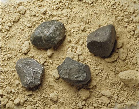 homo habiļa instrumenti ar... Autors: andza512 Aizvēsturiskie cilvēki