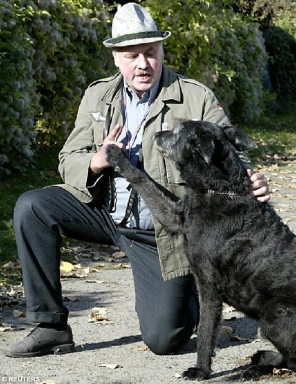 nbsp nbspLai gan tiesa... Autors: Mao Meow Vācijā arestē suņa saimnieku par to, ka viņa suns izmantoja nacistu sveicienu!