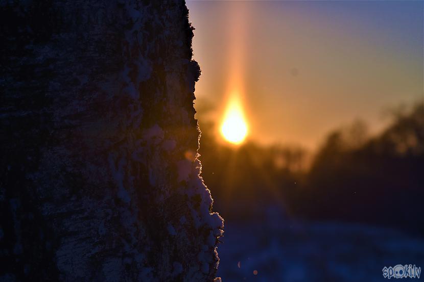Autors: Mr.Sīpoliņš Fotogrāfijas #3