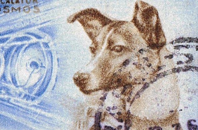 Viņi zināja ka Laika mirs... Autors: Kornēlijs Zipidrics 10 traģiski fakti par Laiku - pirmo suni kosmosā