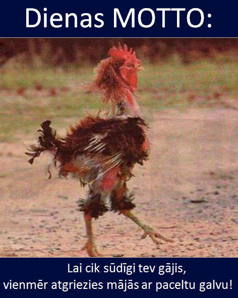 Autors: rasiks Omes joki