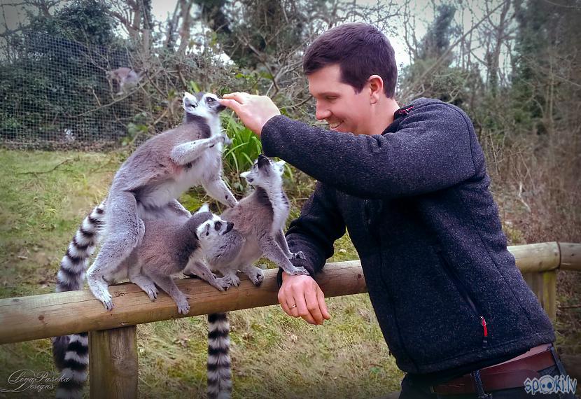 Intresantinbspir tas ka ne... Autors: The Travel Snap Unikāls zoodārzs pilsdrupās!