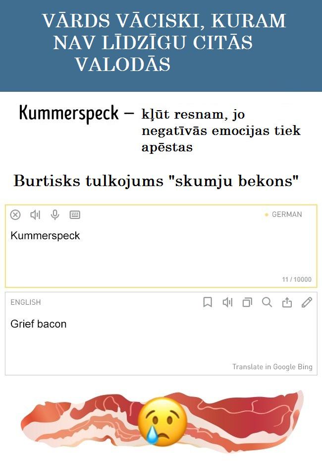Autors: Lestets Vācu valoda nav domāta vārguļiem