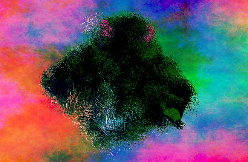 Autors: Strāvonis Drausmu stāsti - Bobāks
