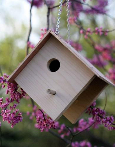 Autors: white bird Šādus tu vēl nebūsi redzējis 3