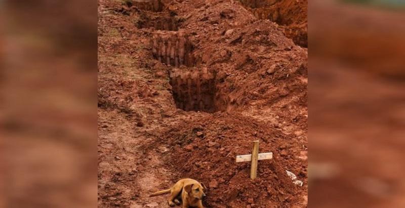 Suns neatiet no sava... Autors: Lestets Sāpīgākie mirkļi fotogrāfijās