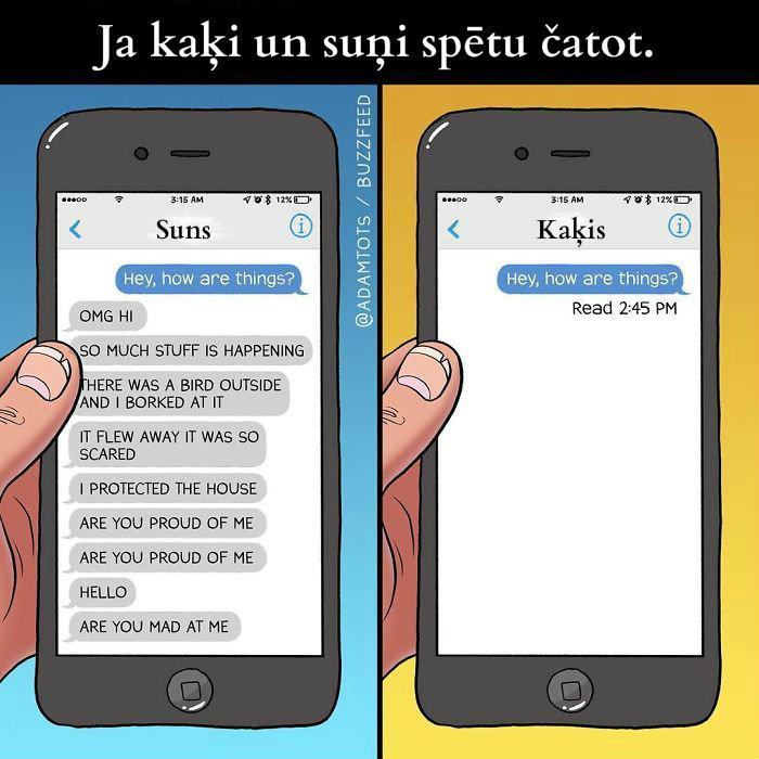 Autors: slepkavnieciskais Jautras atšķirības starp kaķiem un suņiem.