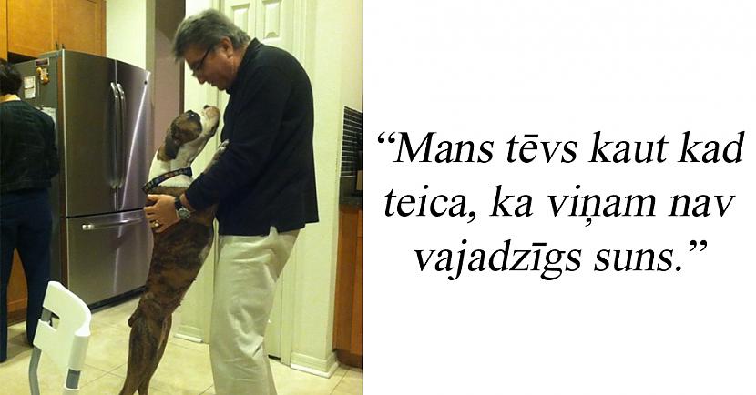 Autors: matilde 19 cilvēki, kuri ātri mainīja savas domas par mājdzīvniekiem
