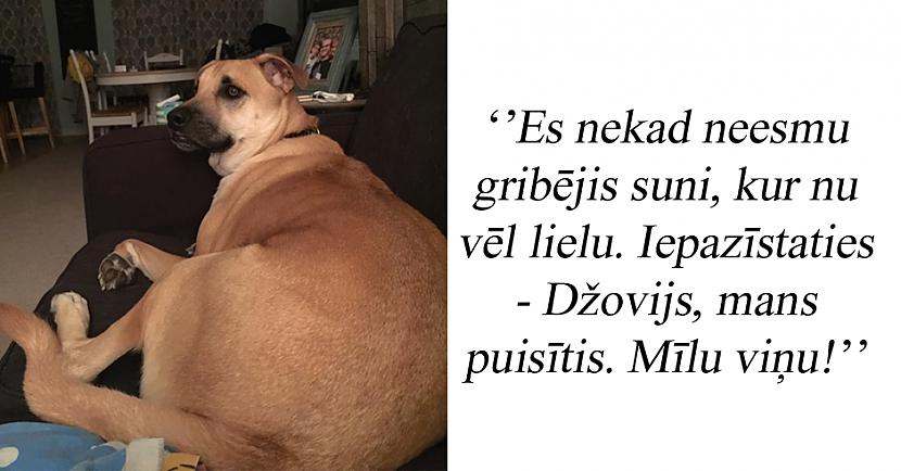 Autors: matilde 19 cilvēki, kuri ātri mainīja savas domas par mājdzīvniekiem
