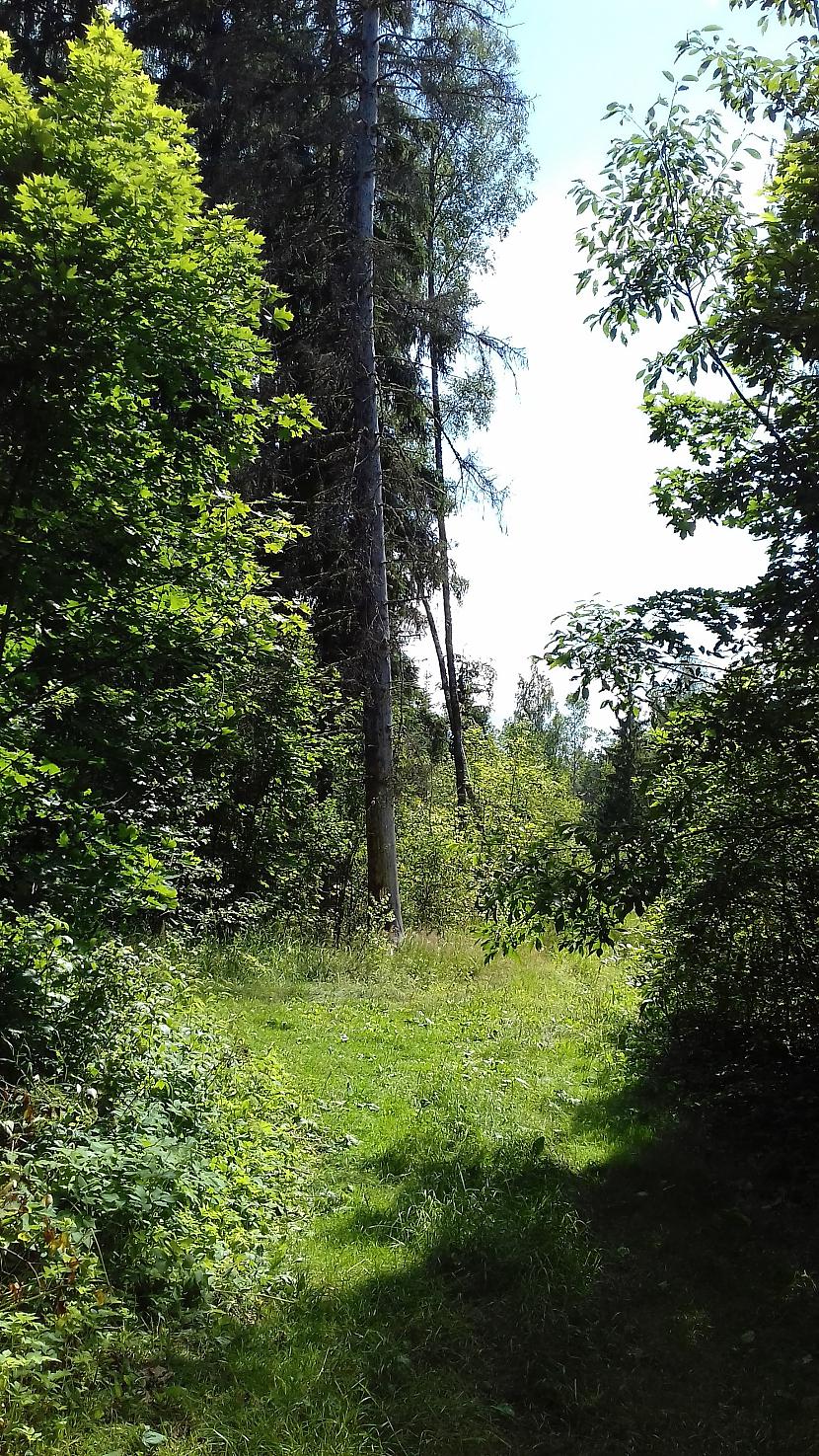 Autors: Griffith Pagājušā gada vasara, 19. jūlijs.