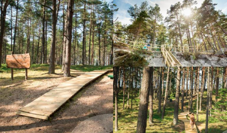 Lāčupītes... Autors: 100 A 20 idejas garām un skaistām brīvdienu pastaigām. Iepazīsti Latvijas dabu!