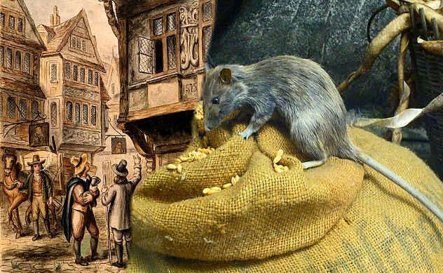 Tā bija jau otrānbsplielā... Autors: Arthur Morgan Pārsteidzoši fakti par Lielo Londonas ugunsgrēku 1666. gadā