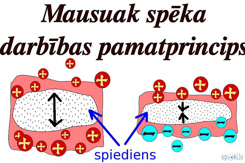Autors: Strāvonis Mausuak kustība