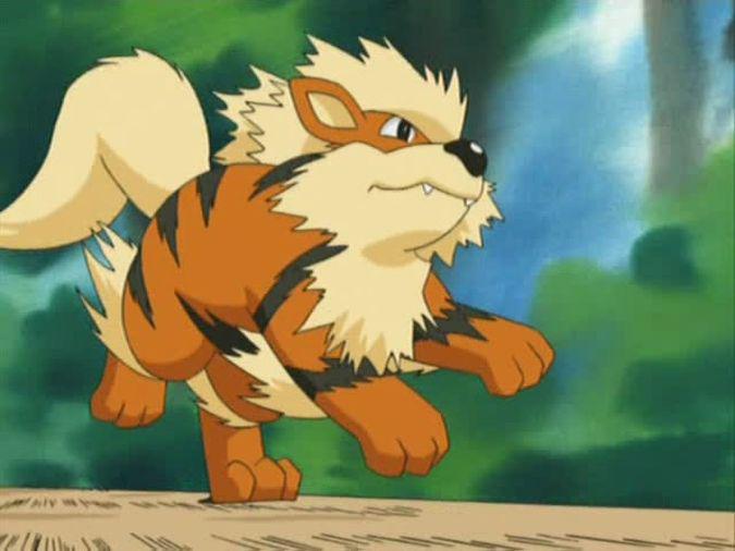 LAUVA 2307 2208Gan Arcanine... Autors: antila Lūk, kurš pokemons Tev atbilst vislabāk, balstoties pēc Tavas zodiaka zīmes.