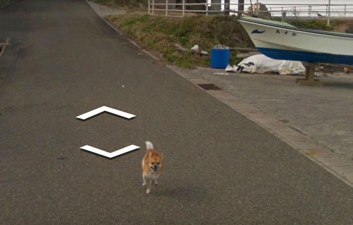 Autors: matilde Skaties kā Japānā kāds suns centās noķert «Google Street View» automašīnu