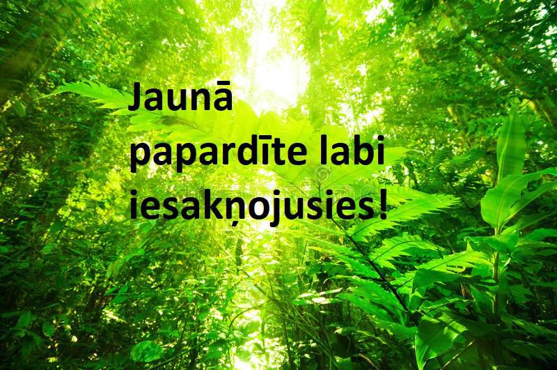 Scaronis ir tikai paraugs... Autors: Latvian Revenger Noslēdzies: Kā pateikt vecākiem, ka viņi kļuvuši par vecvecākiem 4 vārdos!