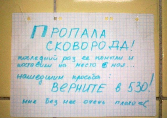 Pazudusi panna arī dara... Autors: Latvian Revenger 30 attēli, kas pierāda, ka koju dzīve ir visjautrākā lieta pasaulē