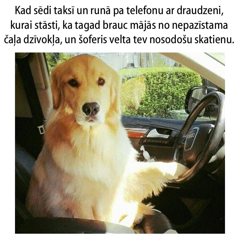 Autors: matilde 15 patiesi joki, kurus sapratīs tie, kas ikdienā brauc ar taksi