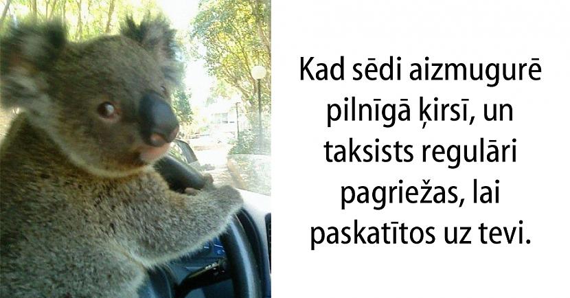 Autors: matilde 15 patiesi joki, kurus sapratīs tie, kas ikdienā brauc ar taksi