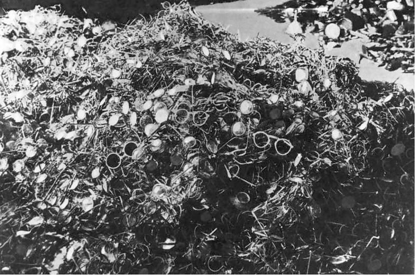 Mengele spēja veikt baisas... Autors: Artemiis Nacistu "Nāves eņģelis" Jozefs Mengele