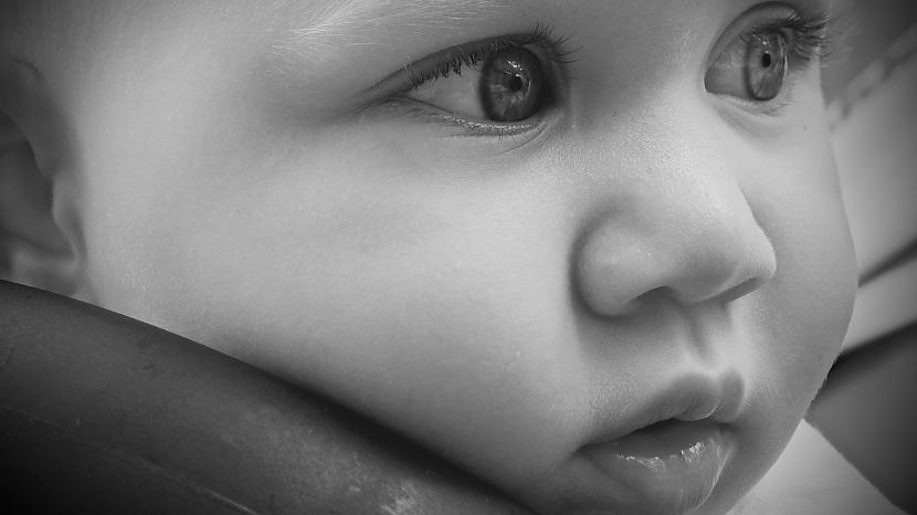 FOTO pexelscom Autors: matilde Mūsdienu paaudzes tendence - laimīgi un bez bērniem